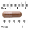 Swanson Cynamon (Cinnamon) Maximum Strength 120 kapsułek