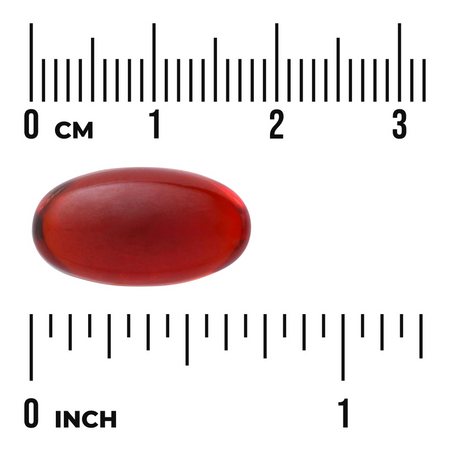 Swanson Olej z Kryla (Krill Oil) 500 mg 60 kapsułek