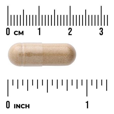 Swanson Astragalus 470 mg 100 kapsułek