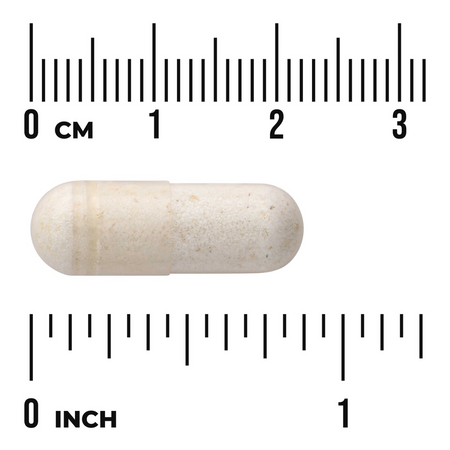 Swanson Probiotyk Dr. Stephen Langer's Ultimate 16 szczepów z FOS 60 kapsułek