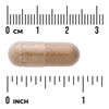 Swanson Agaricus Blazei Ekstrakt 500 mg 90 kapsułek