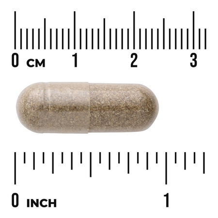 Swanson Czerwona Koniczyna (Red Clover Blossom) 430 mg 90 kapsułek