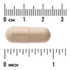 Swanson Ashwagandha 450 mg 100 kapsułek