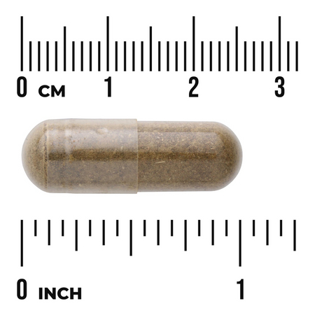Swanson Damiana 510 mg 100 kapsułek