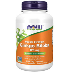 Now Foods Ginkgo Biloba Double Strength Extrakt 120 mg 200 kapsułek